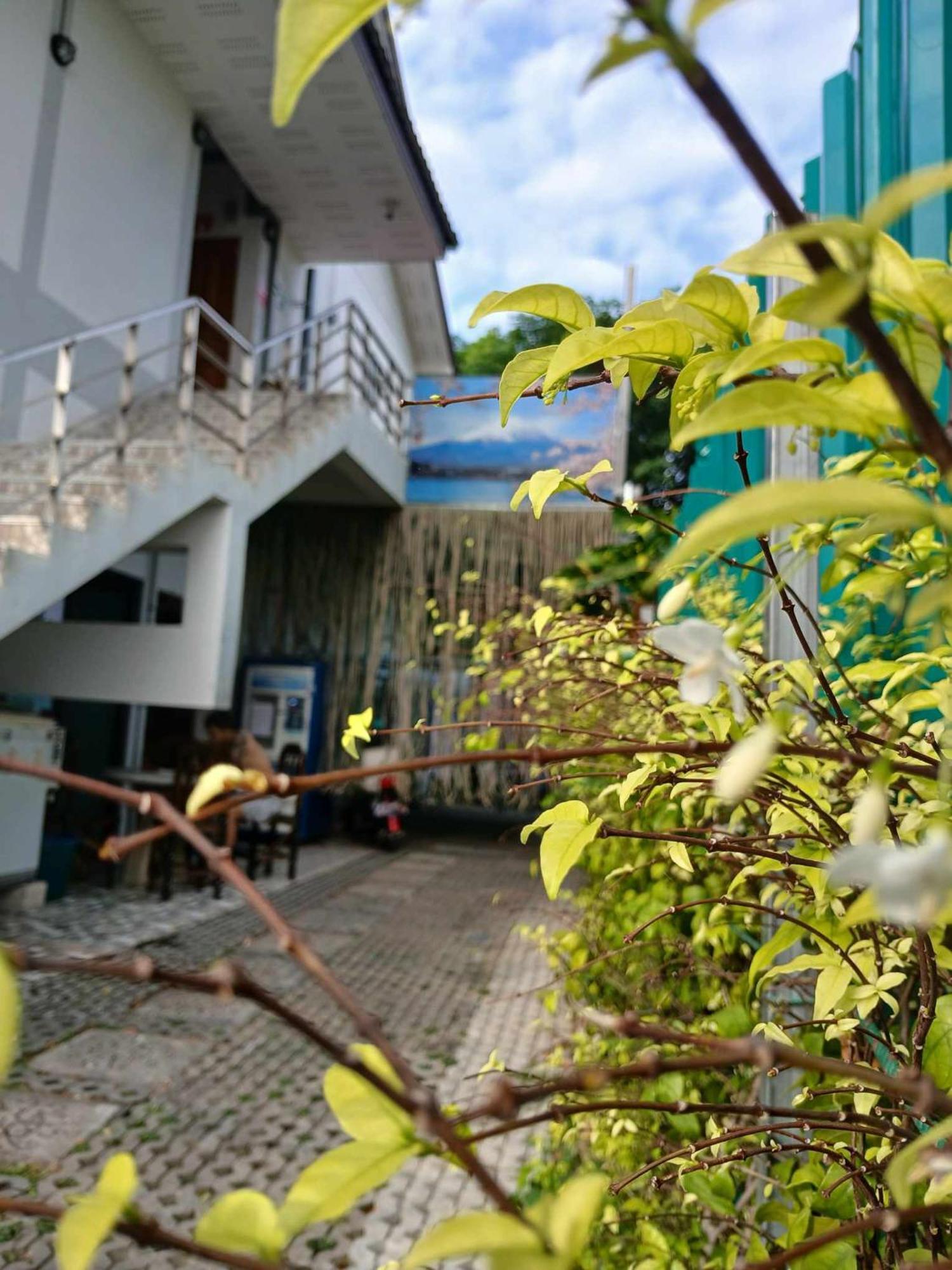 Sakura House Hostel Chiang Mai Exterior photo
